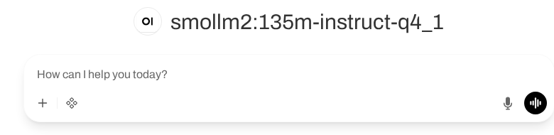 재시작 후 smollm2 모델을 표시한 격리 Open WebUI 화면